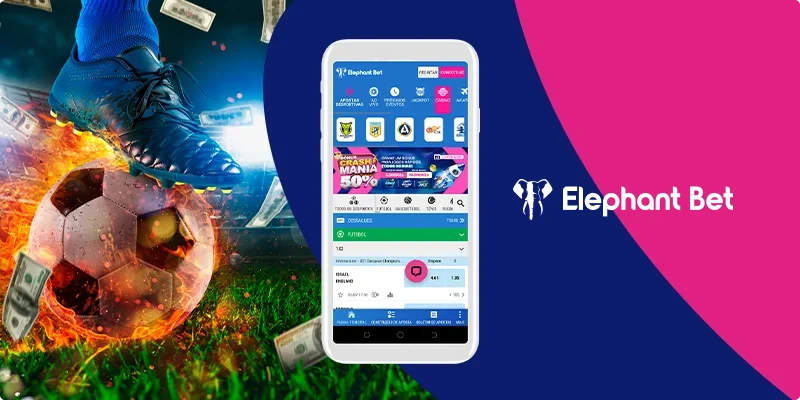 elephant bet
